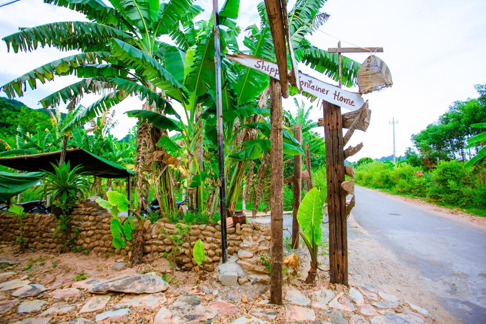 Phong Nha A Little Leaf Homestay Exterior foto