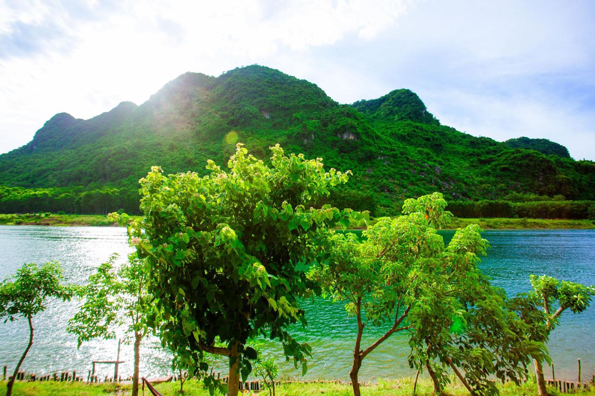 Phong Nha A Little Leaf Homestay Exterior foto